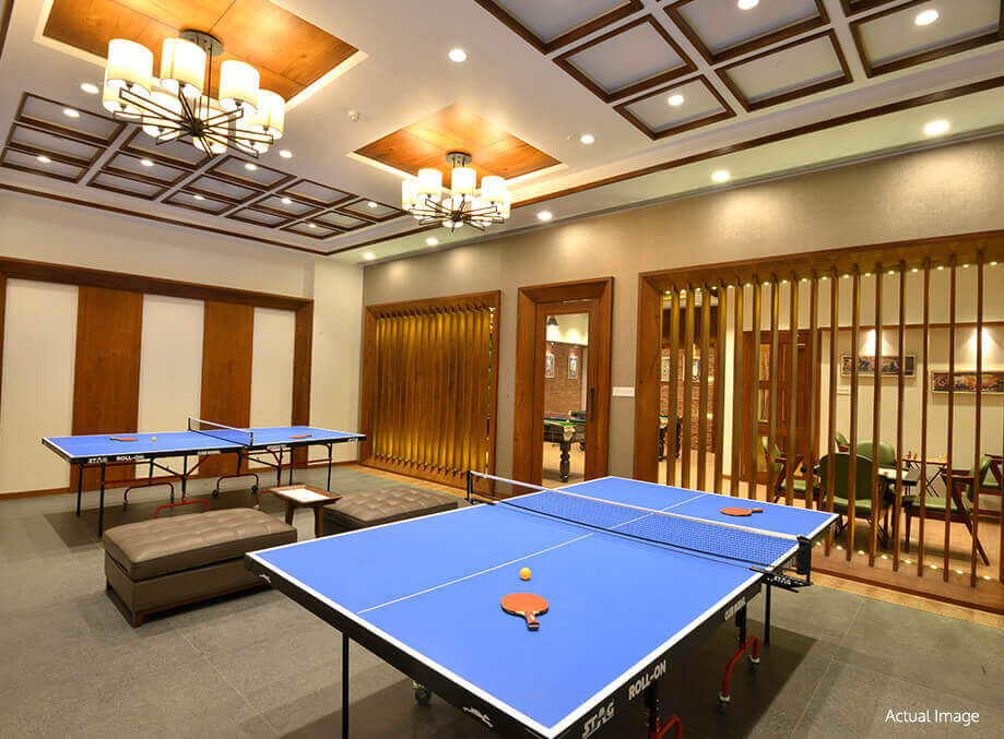 Aryan One Amenities Table Tennis